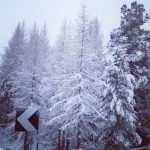 Maltempo: freddo, neve e piogge al Centro/Nord [FOTO LIVE]