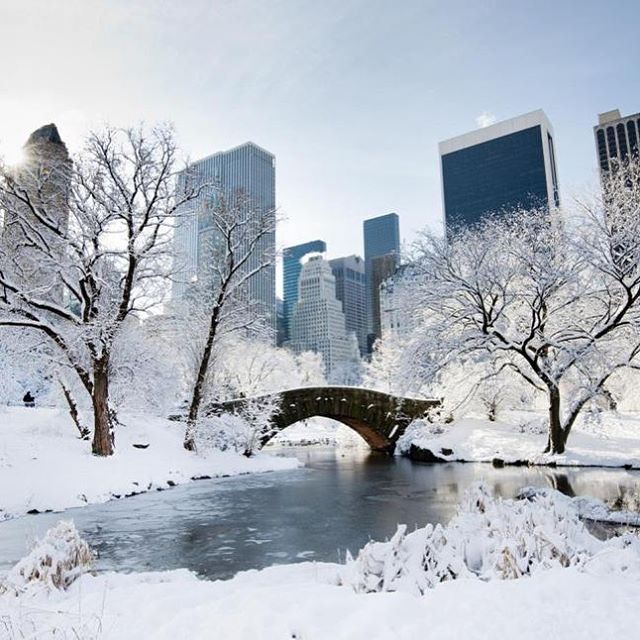 New York neve jonas blizzard gennaio 2016 (24)