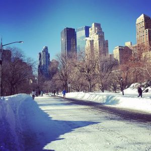 New York neve jonas blizzard gennaio 2016 (39)