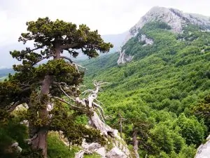 PARCO NAZIONALE POLLINO 7