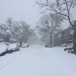 USA, la tempesta “Jonas” si intensifica: verso gli 80cm di neve a Washington, 60cm a New York [FOTO]