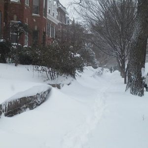 SNOWZILLA 12