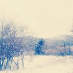 Gelo e neve in Sila, le FOTO dell’inverno calabrese