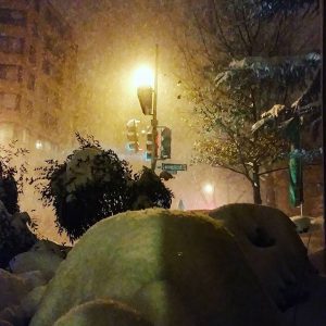 Snowzilla Usa Gennaio 2016 (11)