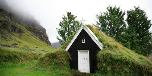 TURF HOUSE 4
