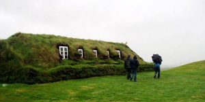 TURF HOUSE 6