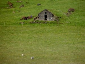 TURF HOUSE 8