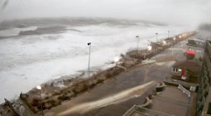 Tempesta Jonas NEVE Usa (37)
