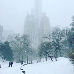 blizzard new york (4)