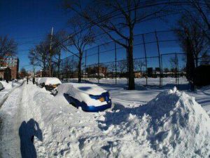 bronx4
