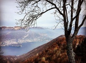 como