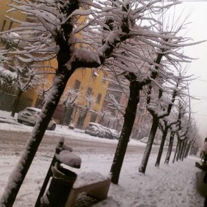 Cosenza