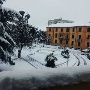 cosenza