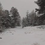 Freddo e Neve, anche sull’Etna è arrivato l’inverno [FOTO]