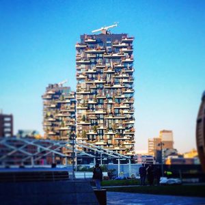 milano 51