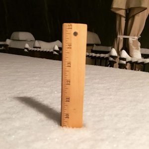 neve jonas00