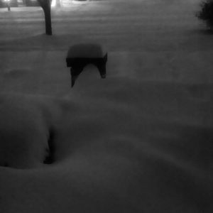 neve jonas23