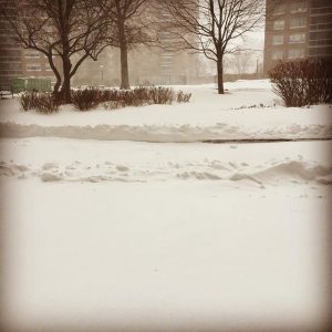 neve new york2