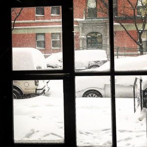 neve new york3