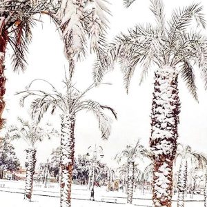 rafha arabia saudita5