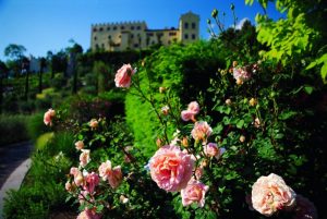 roseto-ai-giardini-di-sissi-main