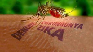zika 2
