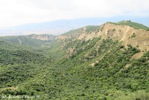 La Valle Niffi, luogo di rilascio dei capovaccai