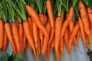 CAROTA 2