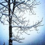 Grandi nevicate sulle Alpi: le FOTO in diretta