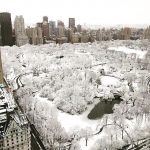New York si risveglia sotto la neve, grande spettacolo [FOTO]