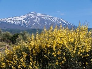 PARCO ETNA 4