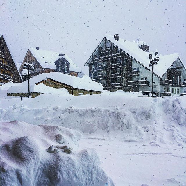 Neve record sulle Alpi: altre FOTO impressionanti da Artesina e Prato Nevoso