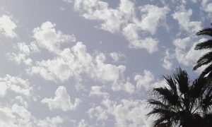 cielo a pecorelle