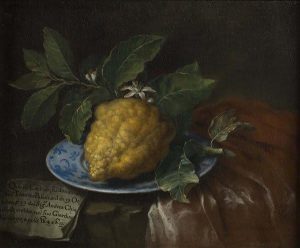 eccentrica natura