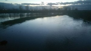 fiume crati1
