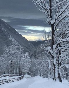limone piemonte (6)