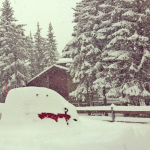 neve alpi 01