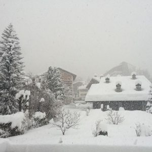 neve valle d'aosta 12 febbraio 2016 (4)
