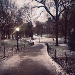 new york central park