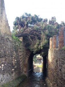 pompei 01
