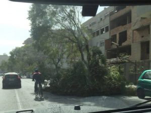 scirocco vento reggio calabria (5)