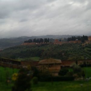 siena