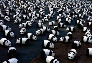 wwf1