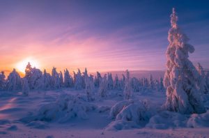 1000-oxana_gracheva-7c5cd936a07c478d85f71272e70b1019