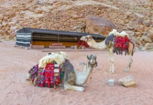 4185_web_deserto_giordania