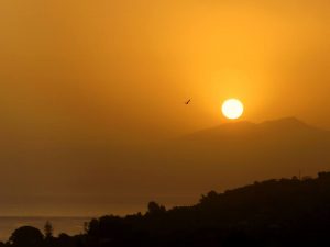 Alba Palermo