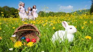 FESTEGGIAMENTI PASQUA
