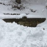 Nuova nevicata in Sila [FOTO]