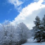 La Sila torna a tingersi di bianco: inizio marzo con la neve [FOTO]