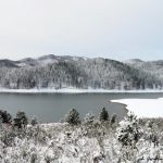 Il grande spettacolo della neve in Sila: scenari da fiaba [FOTO]